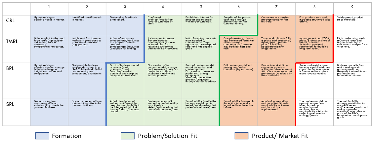 Describing a company's innovation journey and maturity