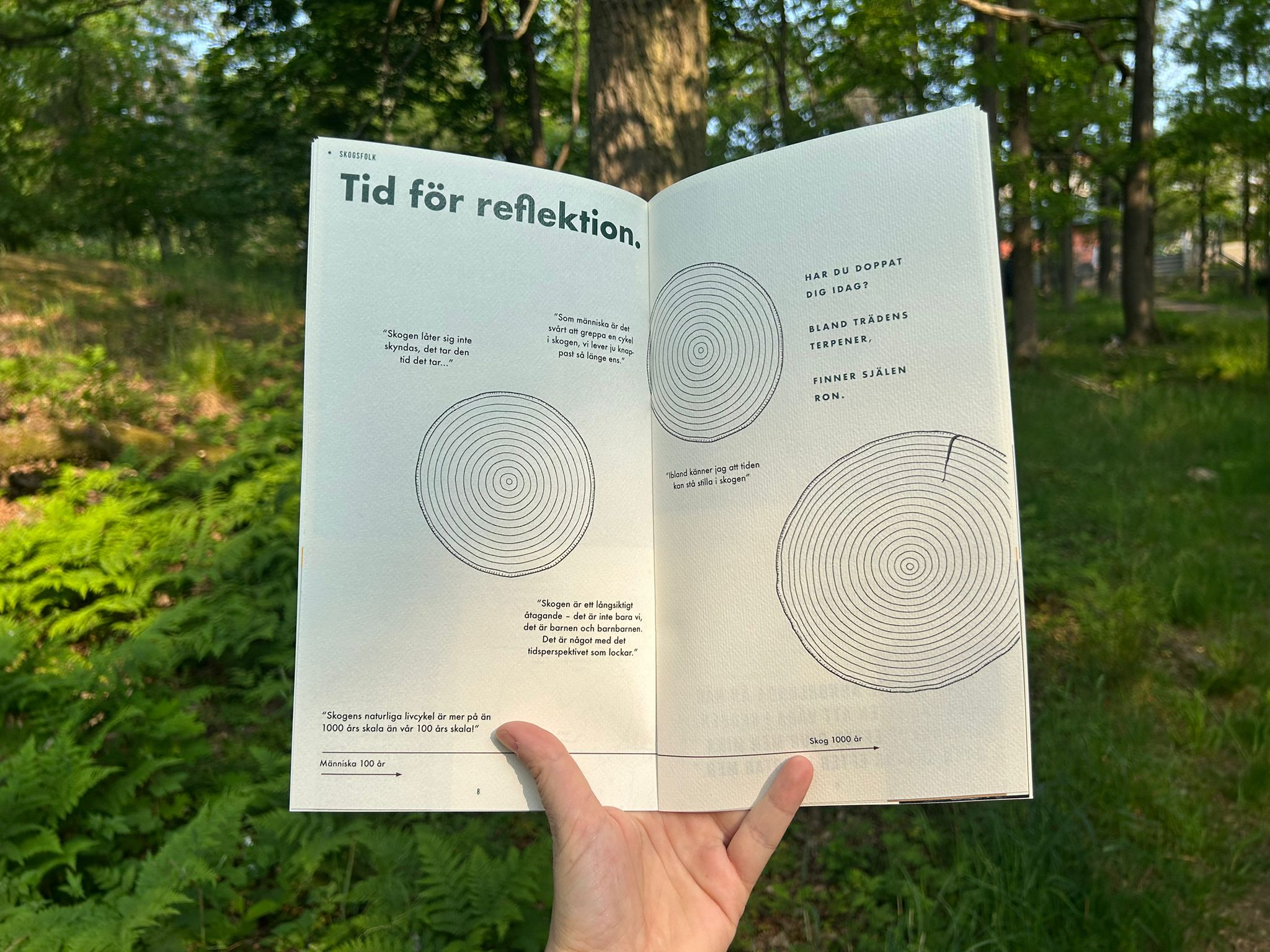 Bild - uppslag tr&auml;dstam.jpeg