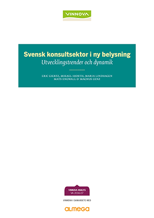 Bokomslag Svensk konsultsektor i ny belysning