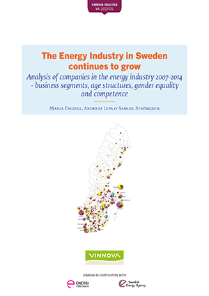 Book cover The Energy Industry in Sweden continues to grow