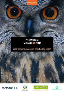 Book cover Projektkatalog Visualisering