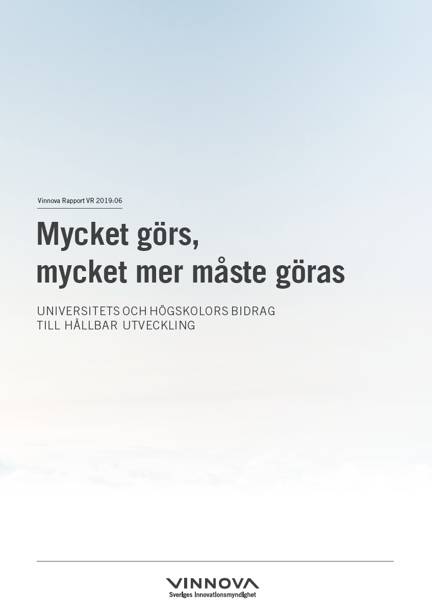 Bokomslag Mycket görs, mycket mer måste göras 