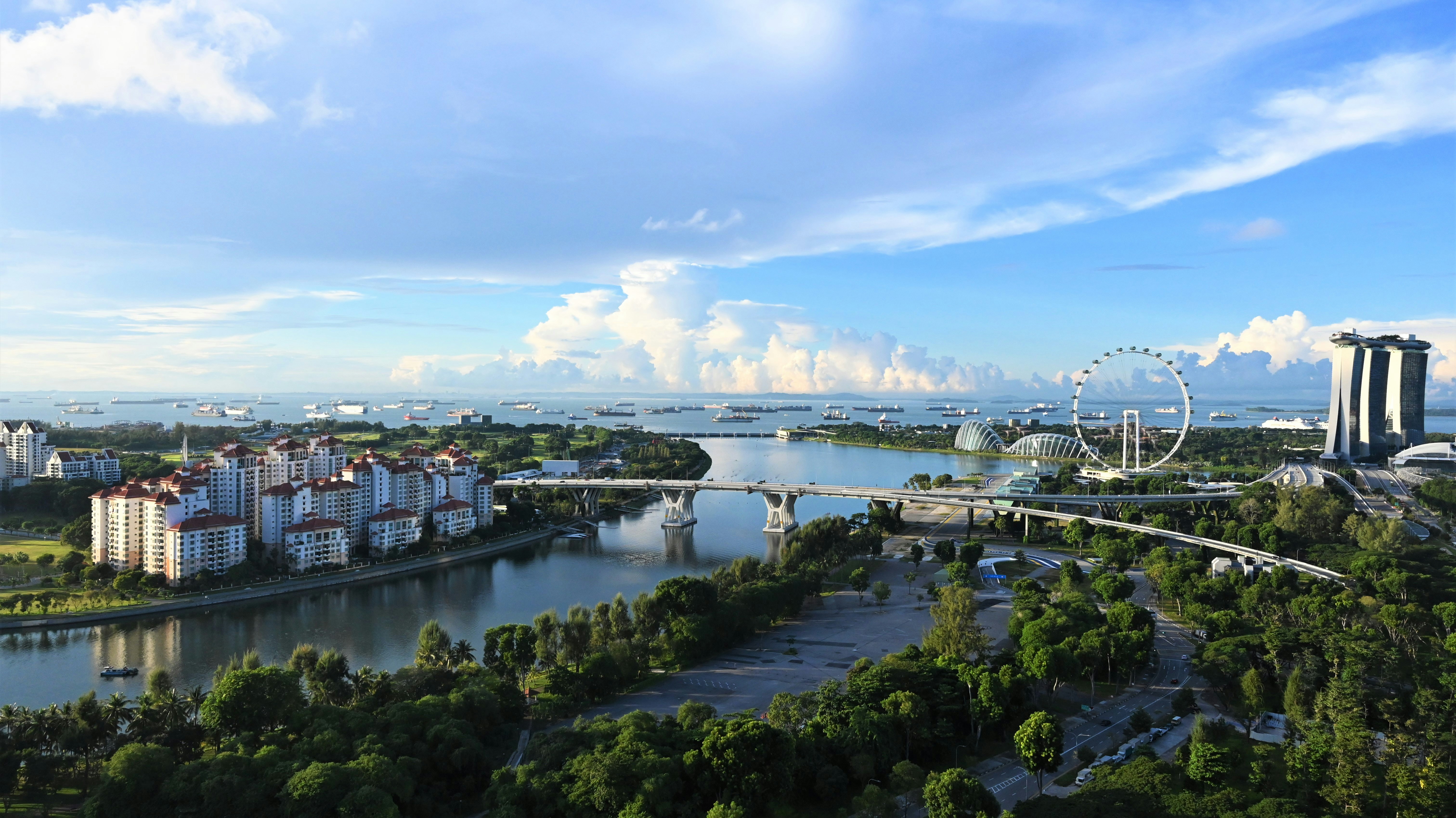 Singaporegreen.jpg