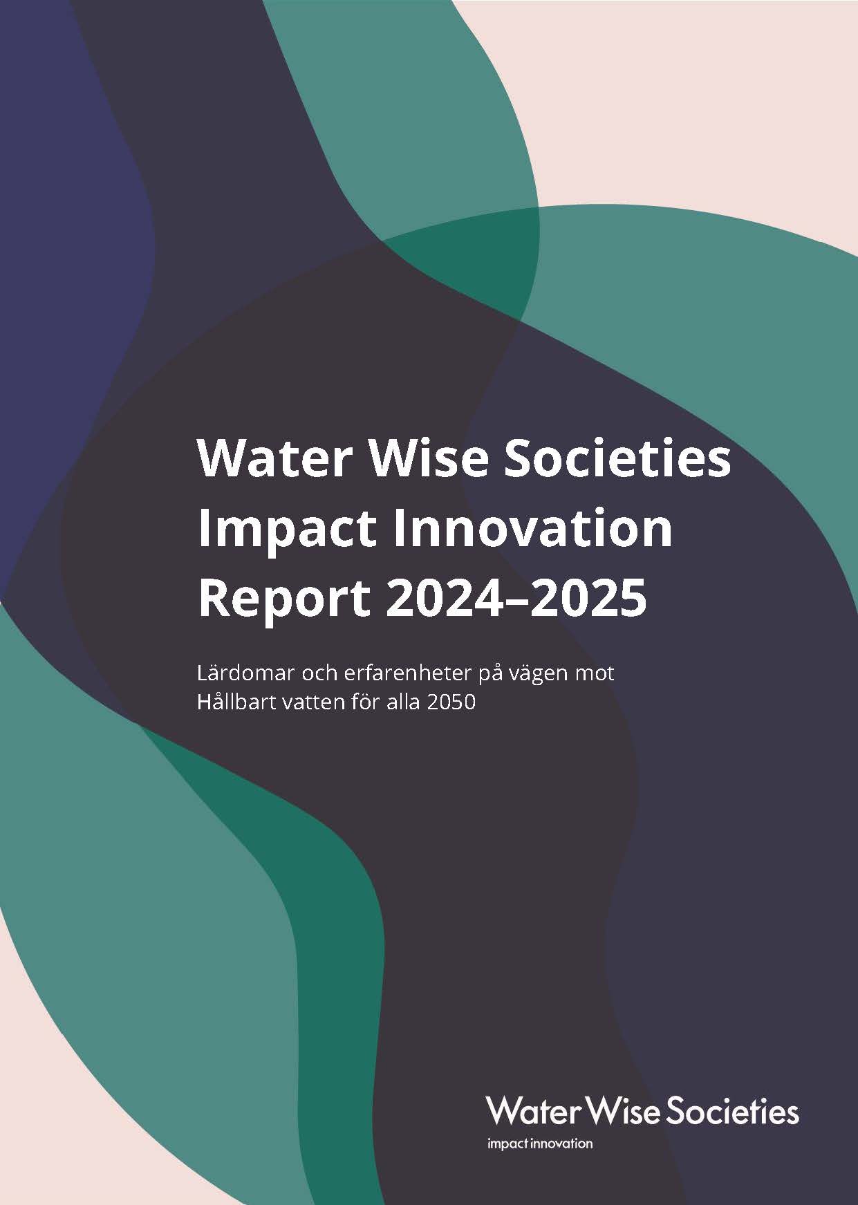 Bokomslag Water Wise Societies:  Impact Innovation Report